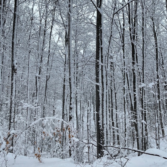 Meet your Posher, Tara - Picture 1 of 1